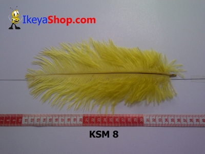 bulu kasuari medium KSM 8   feather  large2